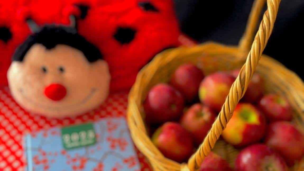 Ana Sınıfı Etkinliğimiz 